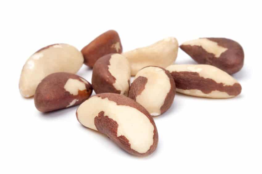 Image result for brazil nuts